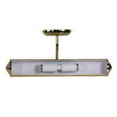 Zander Lighting Rocca Steel Gooseneck Picture Wall Light
