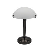 Zander Lighting 32cm Huxley Metal &amp; Glass Touch Table Lamp