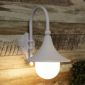 Zander Lighting Eyre Outdoor Wall Light