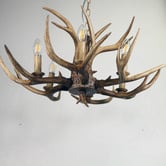 Zander Lighting Tucker Antler Polyresin 6 Light Pendant