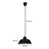 Zander Lighting Corleone Metal Pendant Light