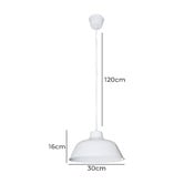 Zander Lighting Corleone Metal Pendant Light