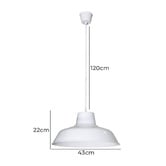 Zander Lighting Corleone Metal Pendant Light