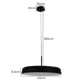 Zander Lighting 42cm Feeney Pendant Light
