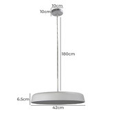 Zander Lighting 42cm Feeney Pendant Light