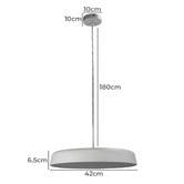 Zander Lighting Feeney Medium Steel Pendant Light