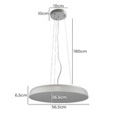 Zander Lighting Feeney Large Steel Pendant Light
