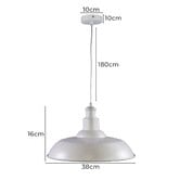 Zander Lighting Quinn Steel Pendant Light
