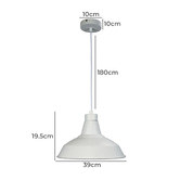 Zander Lighting Logan Pendant Light