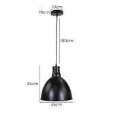 Zander Lighting Yelena Industrial Steel Pendant Light