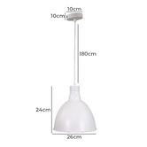 Zander Lighting Yelena Industrial Steel Pendant Light