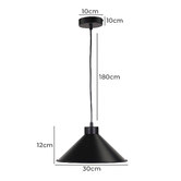 Zander Lighting Hector Metal Pendant Light