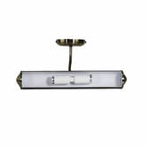 Zander Lighting Rocca Steel Gooseneck Picture Wall Light