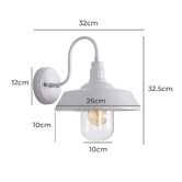 Zander Lighting Coulson Metal &amp; Glass Outdoor Wall Light
