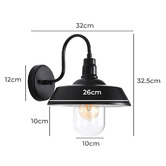 Zander Lighting Coulson Metal &amp; Glass Outdoor Wall Light