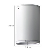 Zander Lighting Buxton Surface Mounted Ceiling Light