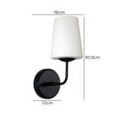 Zander Lighting Hewitt Frosted Glass Wall Sconce