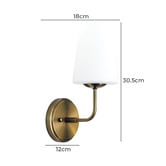 Zander Lighting Hewitt Frosted Glass Wall Sconce