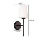 Zander Lighting Elihu Frosted Glass Wall Sconce