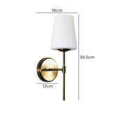 Zander Lighting Elihu Frosted Glass Wall Sconce