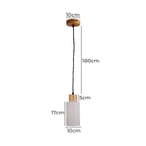 Zander Lighting Bardeen 1 Light Pendant