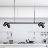 Zander Lighting Parker 4 Light Pendant