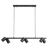 Zander Lighting Parker Steel 6 Light Pendant