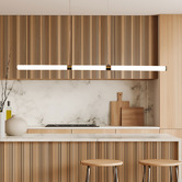Zander Lighting Nikita Steel LED Linear Pendant Light