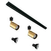 Zander Lighting Parker Steel 2 Bulb Track Light