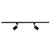 Zander Lighting Parker Steel 2 Bulb Track Light