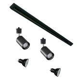 Zander Lighting Parker Steel 2 Bulb Track Light
