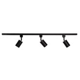 Zander Lighting Parker Steel 3 Bulb Track Light