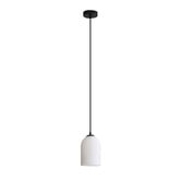 Zander Lighting Aiden Steel Pendant Light