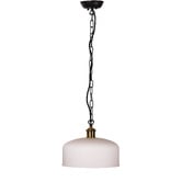 Zander Lighting Kelly Opal Glass Pendant Light