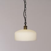 Zander Lighting Kelly Opal Glass Pendant Light