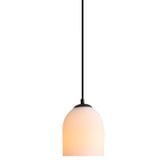 Zander Lighting Aiden Steel Pendant Light