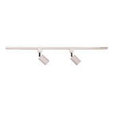 Zander Lighting Parker Steel 2 Bulb Track Light