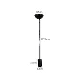 Zander Lighting Canosa Black Metal Pendant Light