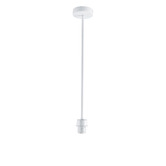 Zander Lighting Smarti Metal Pendant Light