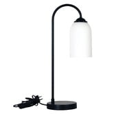 Zander Lighting Mitchell Metal &amp; Glass Table Lamp