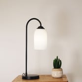 Zander Lighting Mitchell Metal &amp; Glass Table Lamp