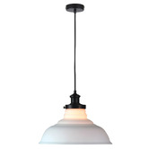 Zander Lighting Roche Opal Glass Pendant Light