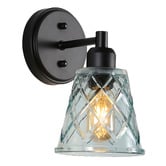 Zander Lighting Towson Steel &amp; Glass Wall Light