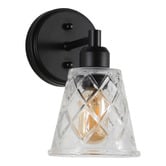 Zander Lighting Towson Steel &amp; Glass Wall Light