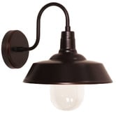 Zander Lighting Coulson Metal &amp; Glass Outdoor Wall Light