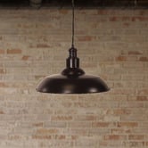 Zander Lighting Quinn Steel Pendant Light