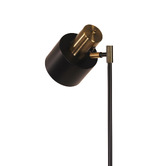 Zander Lighting Cosenza Black Metal Desk Lamp
