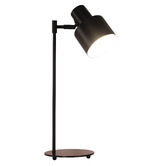Zander Lighting Cosenza Black Metal Desk Lamp