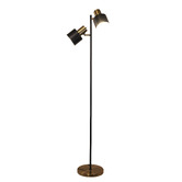 Zander Lighting Cosenza Black Metal 2 Light Floor Lamp