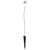 Zander Lighting Nova 12V LED Garden Spike Light